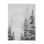 Art mural sur toile «bolivette St. Amant Woodsy II»-101099194
