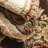 Colindale Oriental Indoor Rug-23800637
