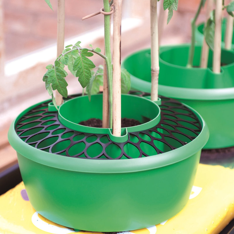 Azante Saucer Plant Stand, Green