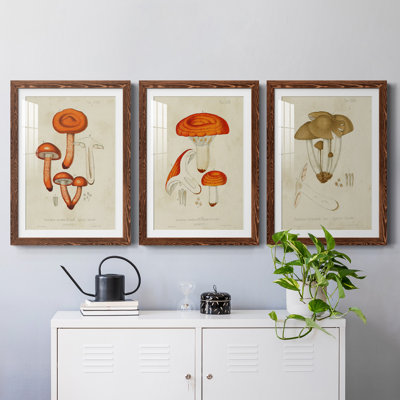 Champignon Variétés IV encadré mat - prêt à accrocher