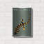 "State Posters IL" par Print Collection-901318399