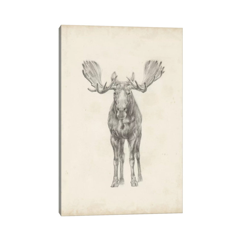 Moose Study 1 Piece Wrapped Canvas Painting, 101.6 cm H x 66.04 cm W x 1.91 cm D