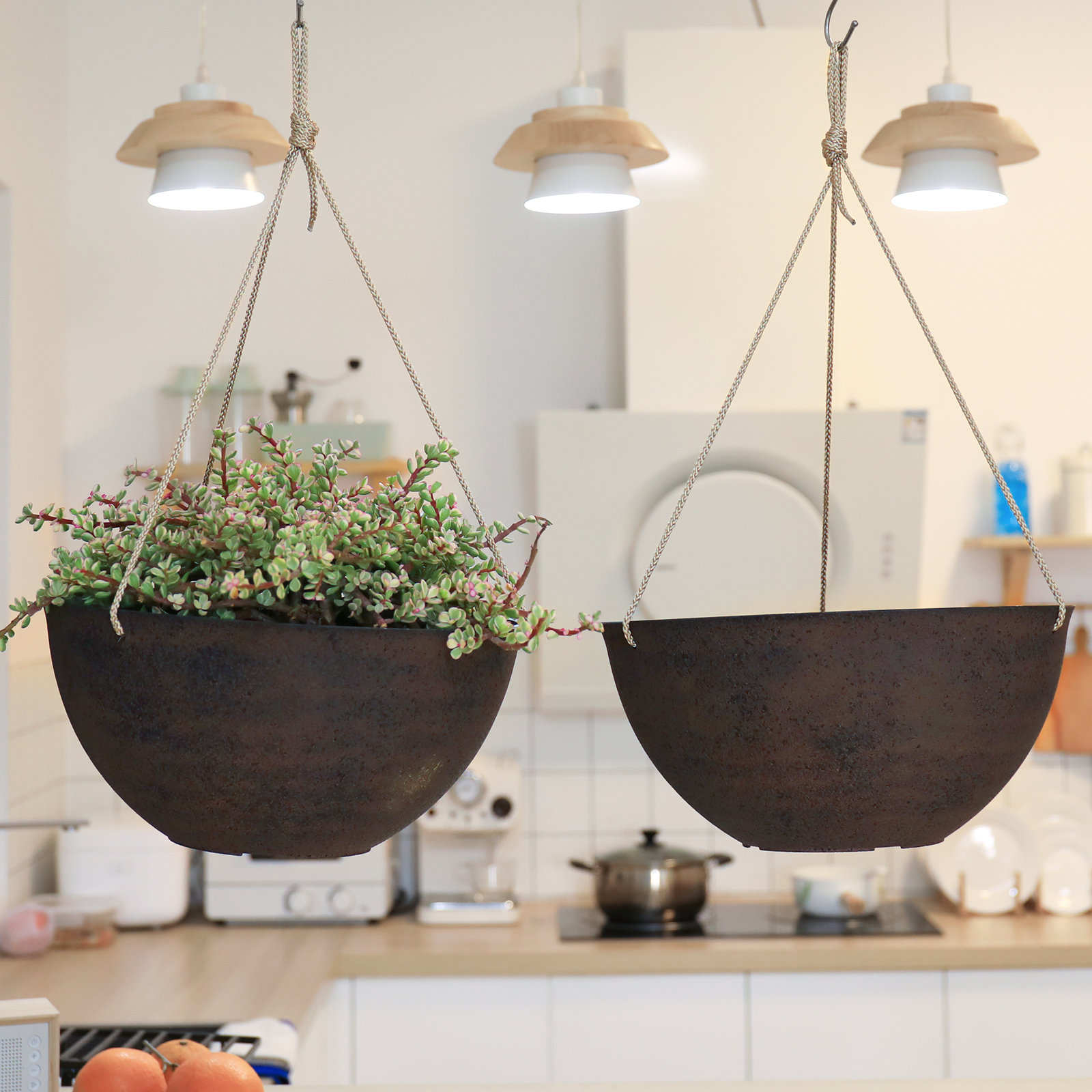 Boxdale 13" Hanging Planter, New Iron, 6.3" H x 13.2" W x 13.2" D