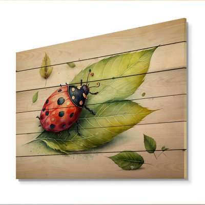 " Ladybug On A Leaf "