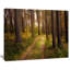 «Road traverse Thick Fall Forest», reproduction de photo sur toile tendue-19240572