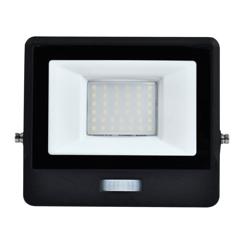 Amie-Leigh Flood Light