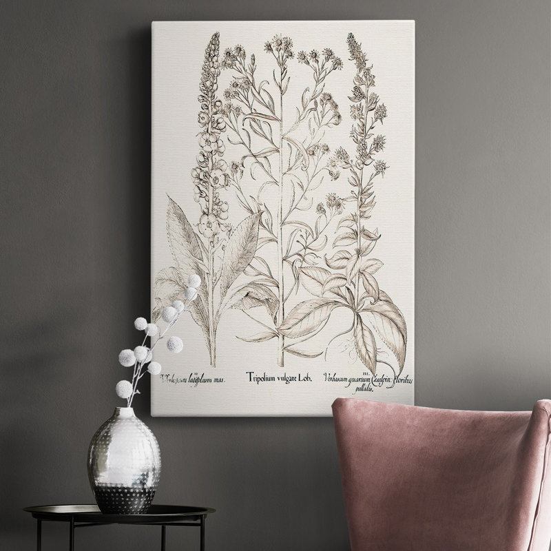 Toile tendue sépia Besler Botanicals, H 18 po x l 12 po x P 1,5 po