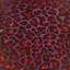 Leopard Square Velvet Pillow-222749424-222749980
