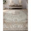 Wool Oriental Area Rug