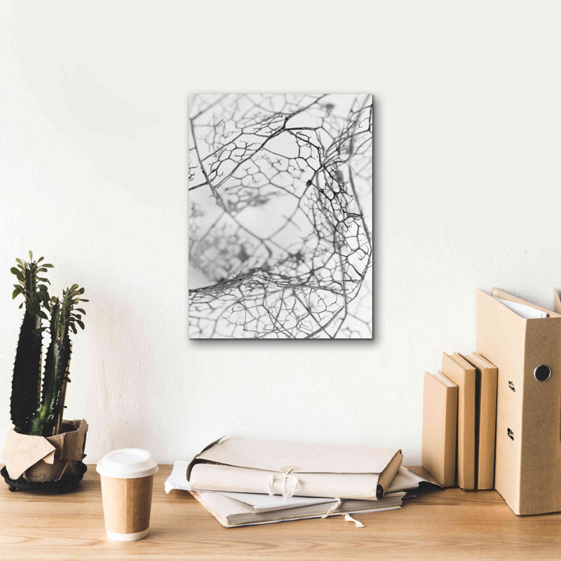 "Leaf Skeleton BW" par Design Fabrikken, H 16 po x l 12 po x P 0,75 po