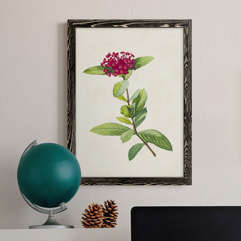 «Pretty Pink Botanicals II», reproduction d'art sur toile, H 17 po x l 20 po x P 1 po, Érable encadré