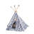 Animal Print Canvas Tent Pet Bed