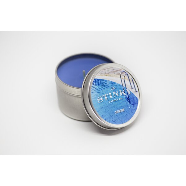 The Stinky Candle Company LLC Blueberry Scented Jar Candle