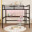 Queen Metal Loft Bed With LED Light, Desk And USB Ports