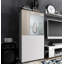 Killion Display Cabinet-1933243015-1916365981