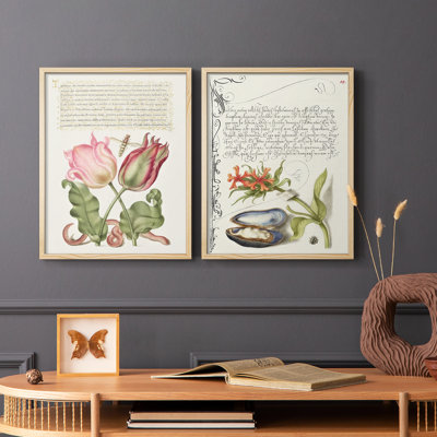 Reproduction encadrée Hoefnagel de spéculations tropicales X-Premium - prêt à être accroché - aucun clou requis - aucun clou requis