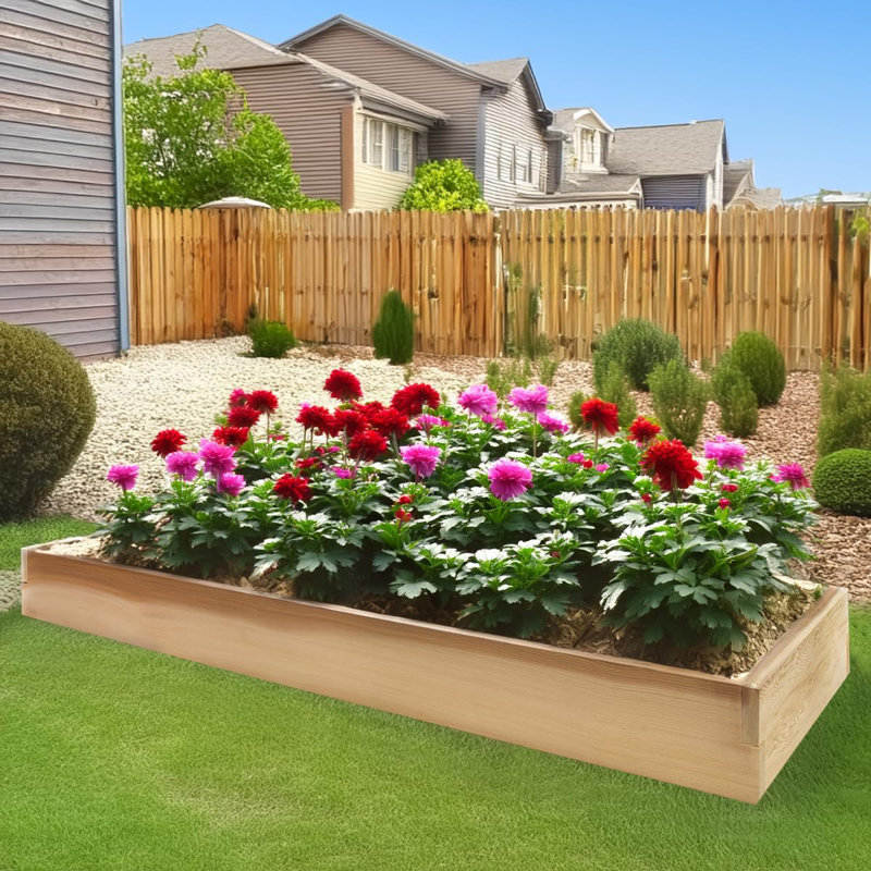 Boîte de jardin surélevée, H 5,25 po x l 68 po x P 22 po