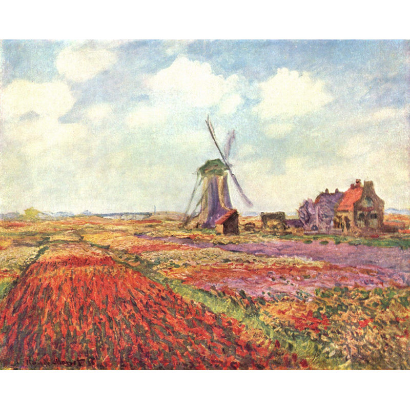 Champs de tulipes avec le moulin à vent de Rijnsburg