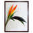 Brown Framed Unframed is out of stock selected