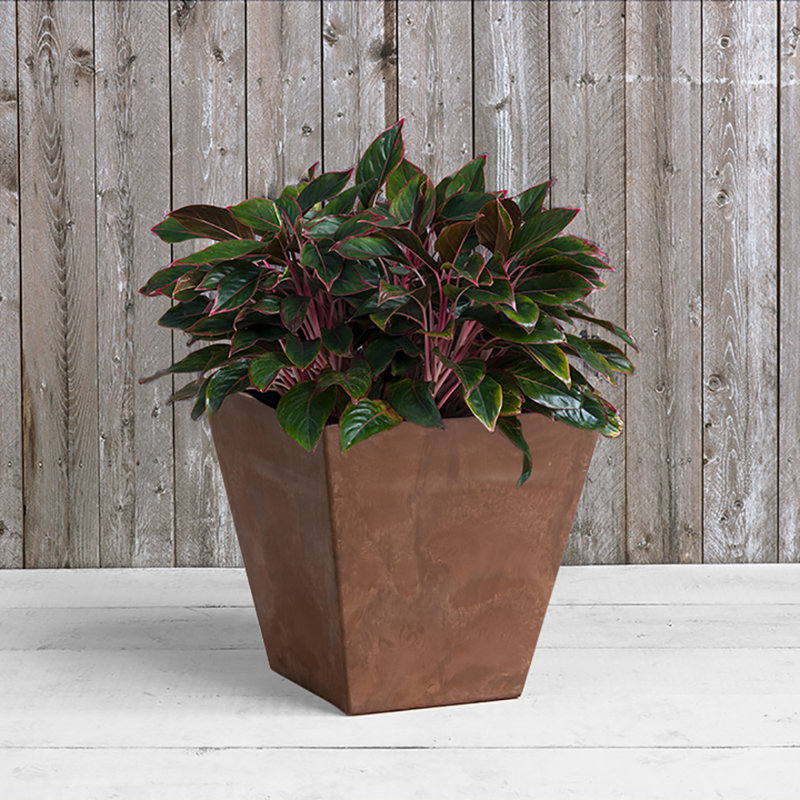 Alaunah Pot Planter, Rust, 6" H x 5.9" W x 5.9" D