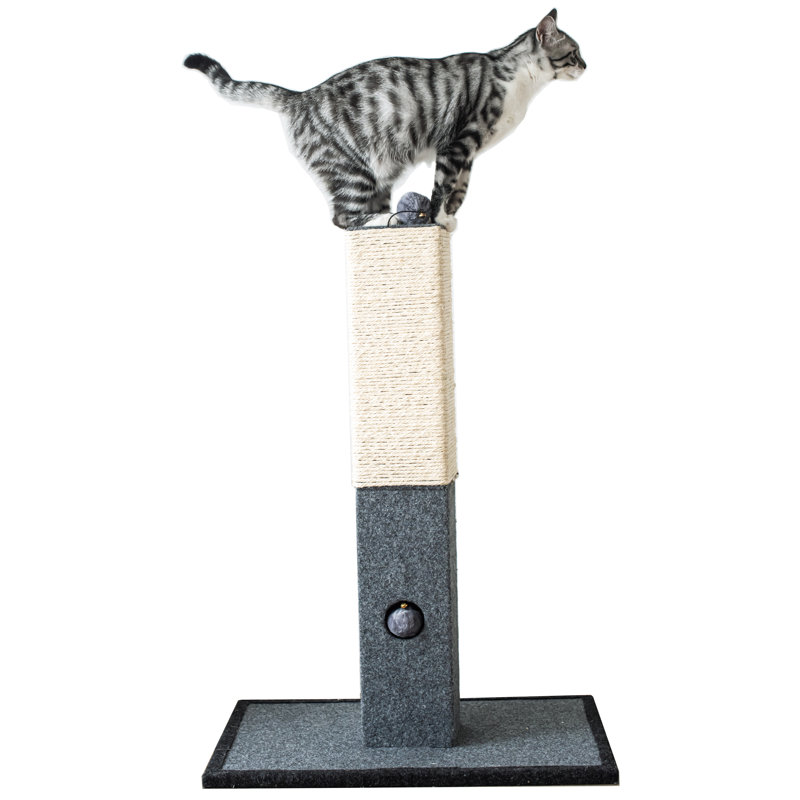 Arbre à chat avec jouet suspendu 32 "Catry