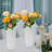 Jesselee Pot Planter-2024250742