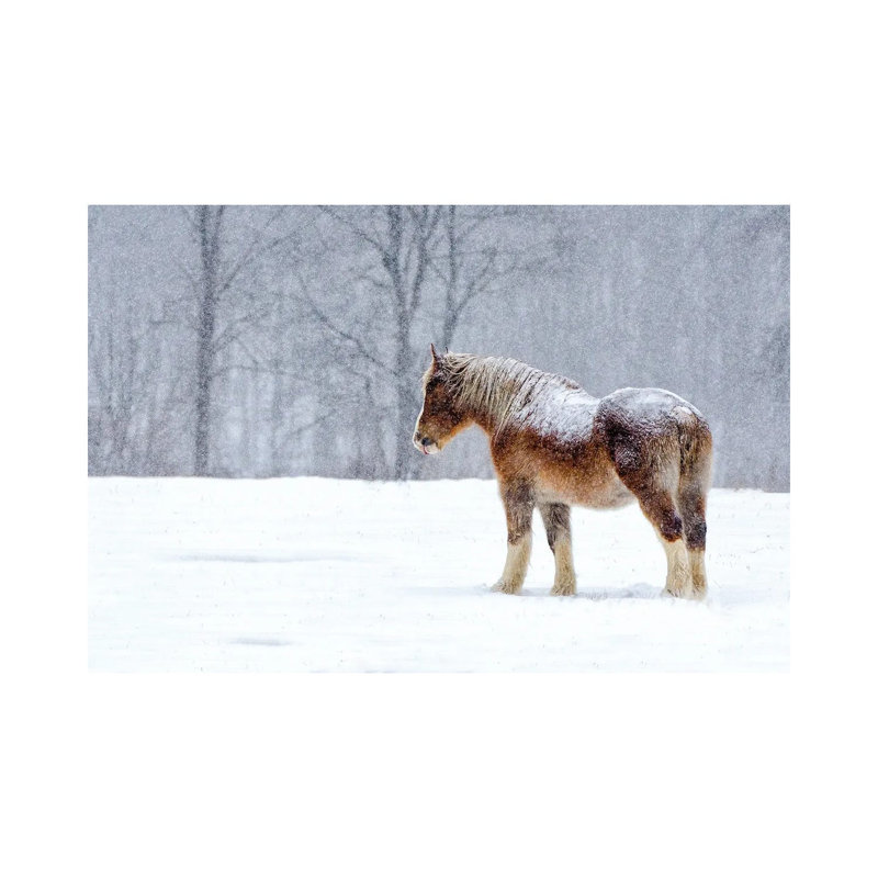 Stoic 1 Piece Wrapped Canvas Wall Art, 30.48cm H x  45.72cm W