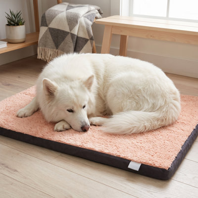 Lit pour chien Sanctuary Comfort