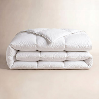 Extra Warm Down Alternative Duvet Insert
