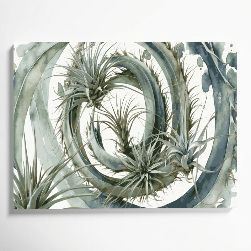 Art mural sur toile Botanical Air Plants, H 11 po x l 14 po