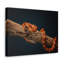 No Frame Print on Canvas-1117509960