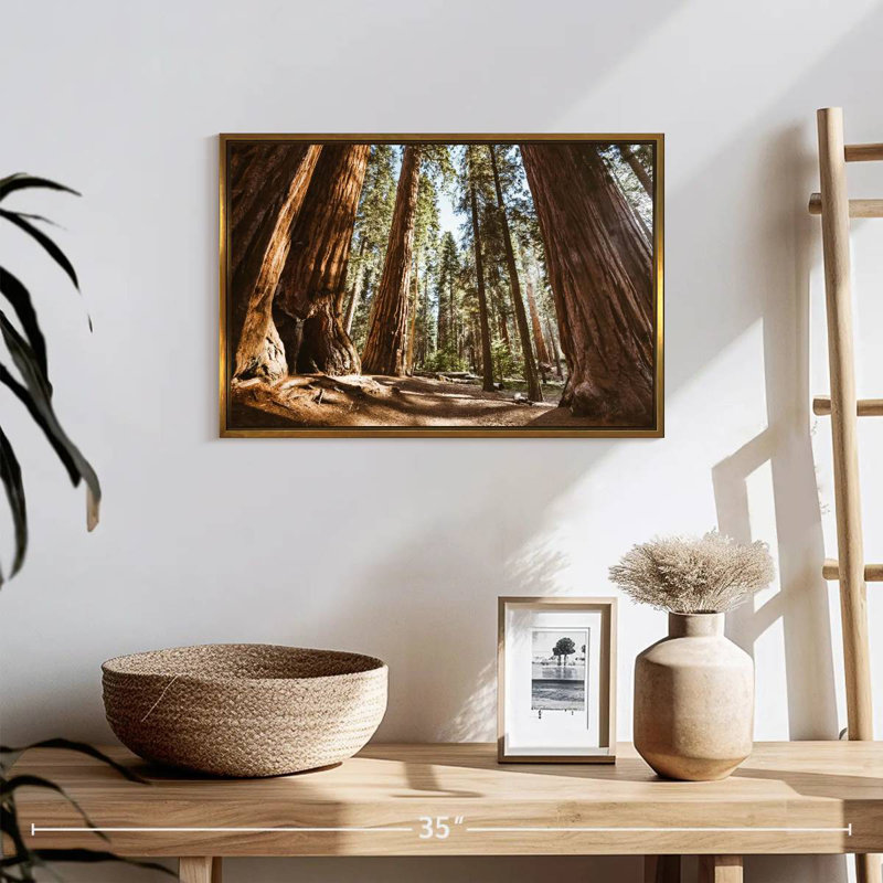 Été dans le parc Sequoia, 19 po x 13 po, Cadre flottant doré
