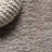 Anttwan Solid Shag Light Beige Rug-1814924868