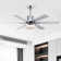 52'' Modern Ceiling Fans With Remote