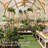 6X7 FT Wooden Greenhouse For Outdoors
