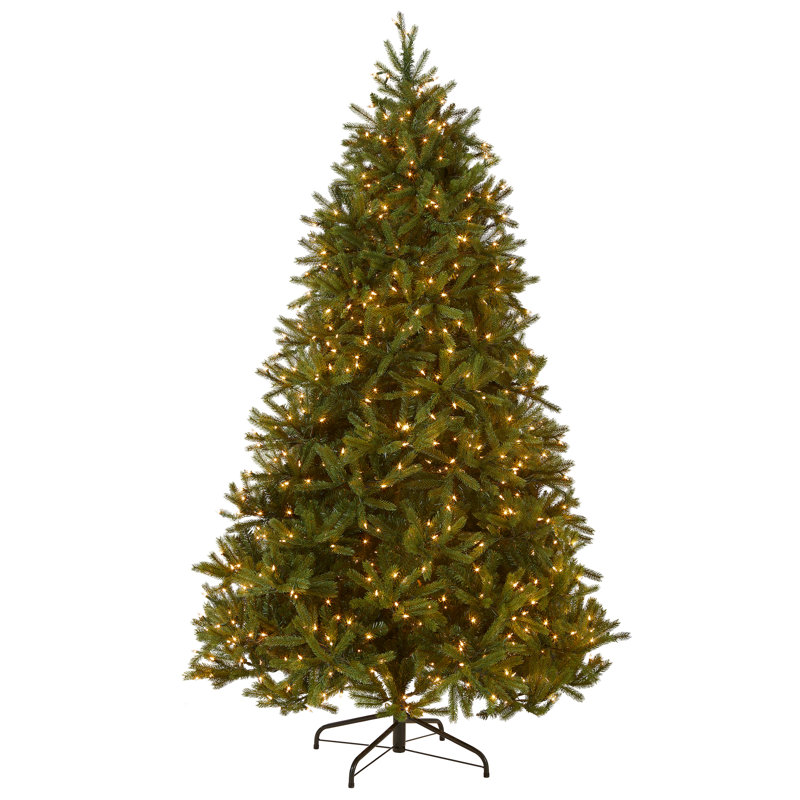 The Holiday Aisle® Jersey Fraser Fir Tree with Clear Lights, 6'