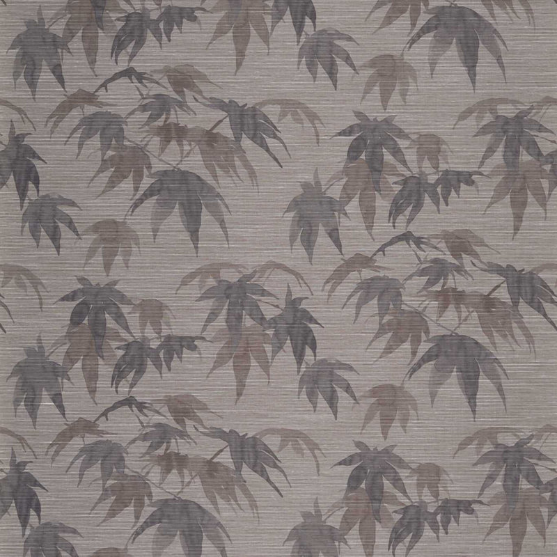 Acer Wallpaper, Ash/Pewter