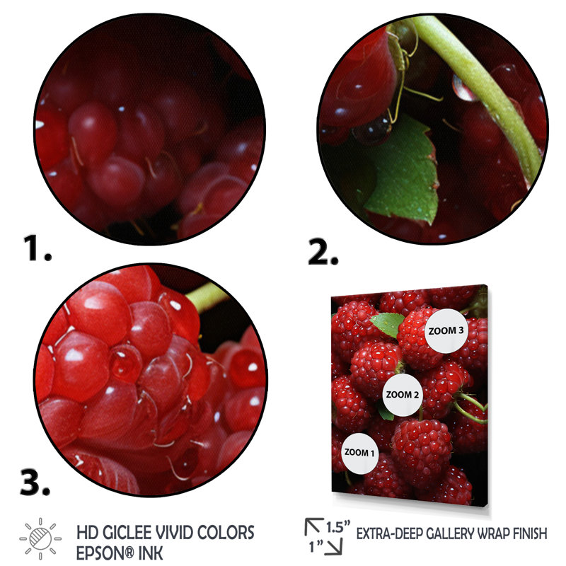 Fruit Ruby Raspberry I " Fruit Ruby Raspberry I ", Black Framed, 20" H x 12" W x 1" D
