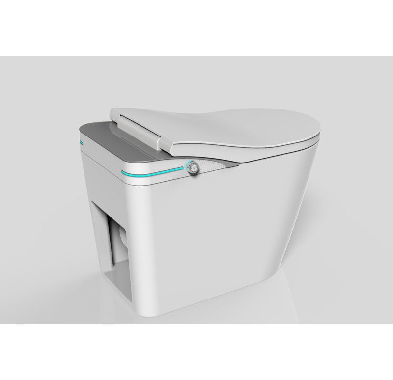 Toilette intelligente avec siège chauffant intégré, toilette sans réservoir avec chasse d'eau automatique, température réglable du siège, affichage numérique à DEL de la chasse d'eau, allongée
