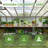 Wooden Commodity Shelf Multiple Sizes Suitable For Wooden Greenhouse, Wood Greenhouse Workstation-114219430