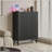 Storage Cabinet, Modern Shoe Cabinet