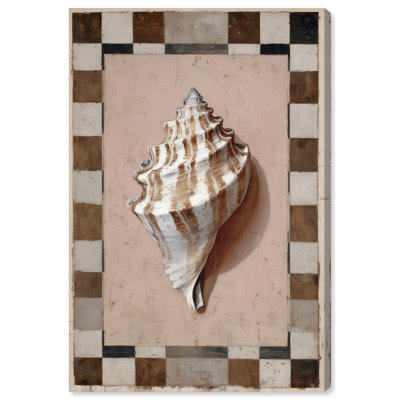 Spiral Shell I Canvas Print Boho Coastal Art by Art Remedy, Gallery Wrapped, 20 x 30