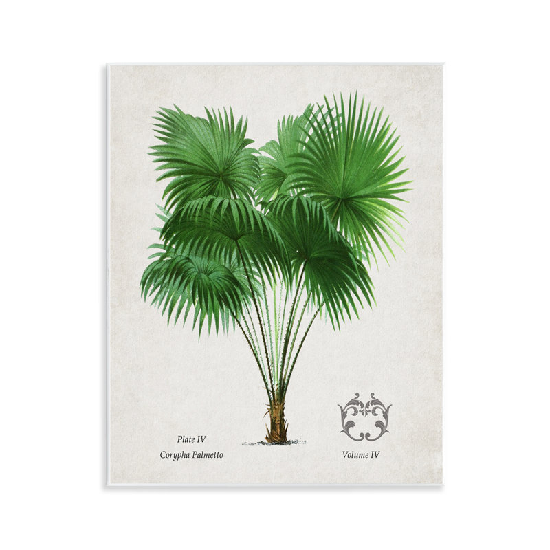 Plaque murale Fan Fan Vintage Study, conception par Val Rhodes