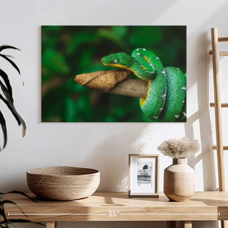 Emerald Tree Snake, 16" H x 24" W