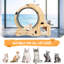 Une roue pour chat pour un plaisir en intérieur
