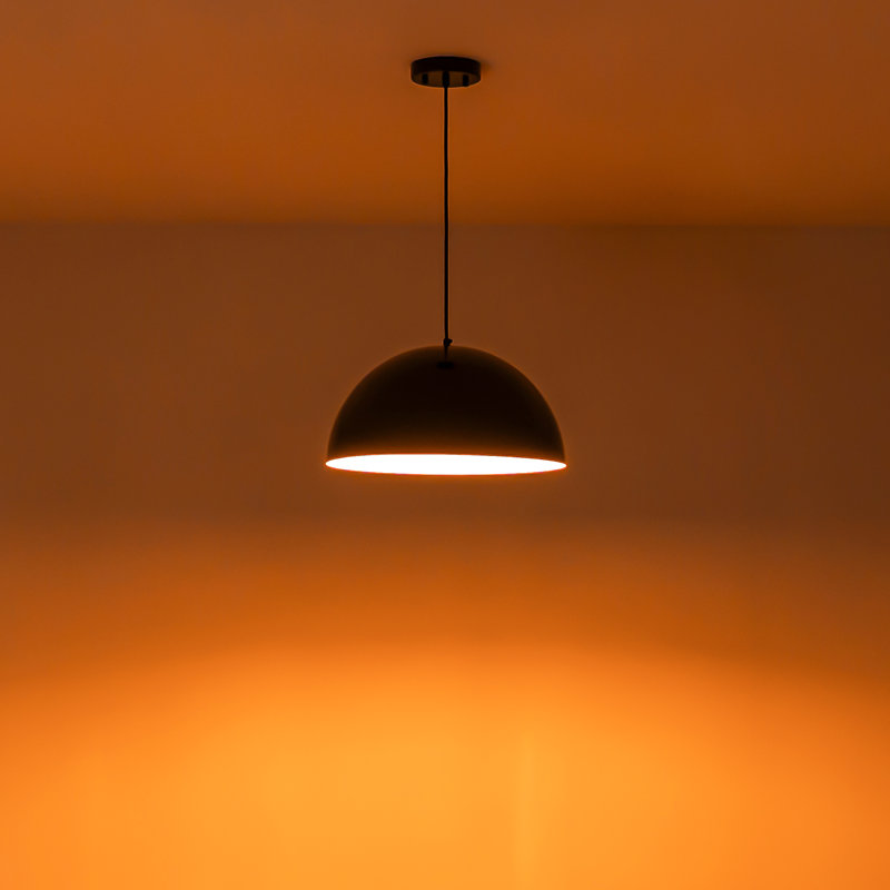 Lodi 1-Light Black Dome Pendant