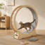 Roue d'exercice en bois pour chat, grande roue de tapis roulant pour chats d'intérieur