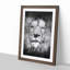 Lion Portrait in Abstract - Picture Frame Painting Print-55580665-55580666