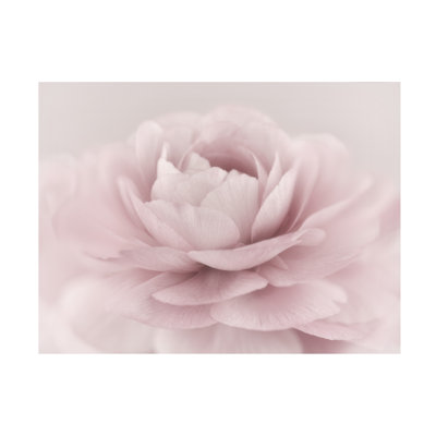 Wrapped Canvas Wall Art - Mike Jones Photo 'Stylisch Rose Pink' Wall Art for Living Room, Bedroom, or Office Décor - 24x32