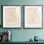 «Fruit Contour Study I», ensemble de 2 reproductions de photos sur toiles